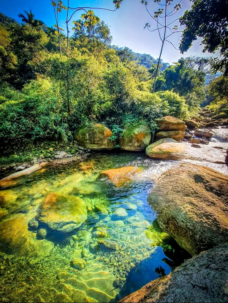 Parque das Nascentes e Mata Atlântica